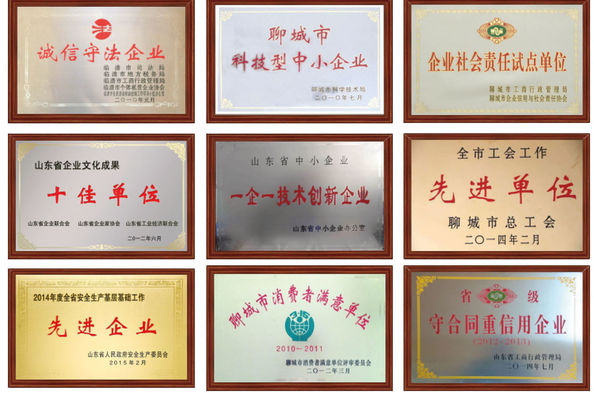 China Silurian Bearing Factory Certificaten